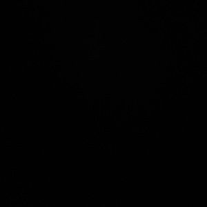 Meet your Posher, Darrell